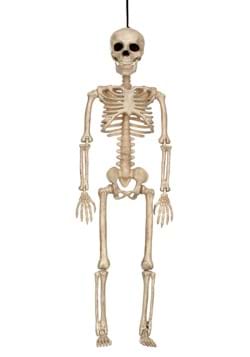 16" Skeleton