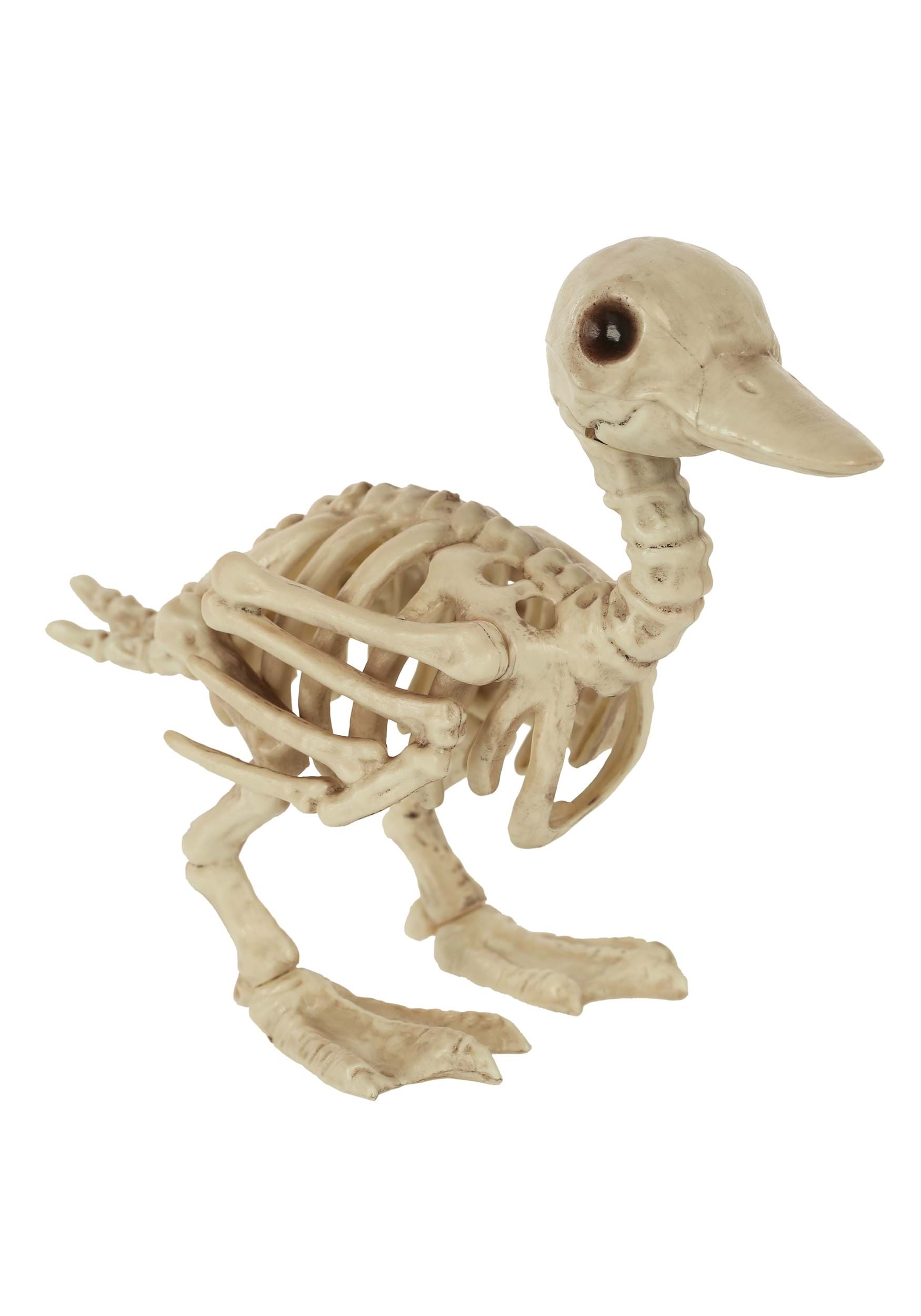 7.75-Inch Duckling Skeleton Bones Decoration | Animal Skeletons