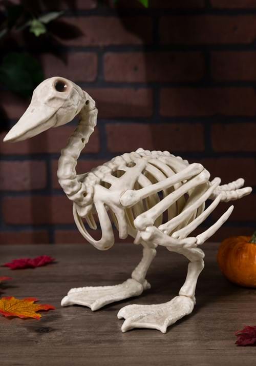 15" Duck Skeleton