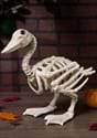 15" Duck Skeleton