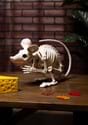 19 Attack Rat Skeleton update