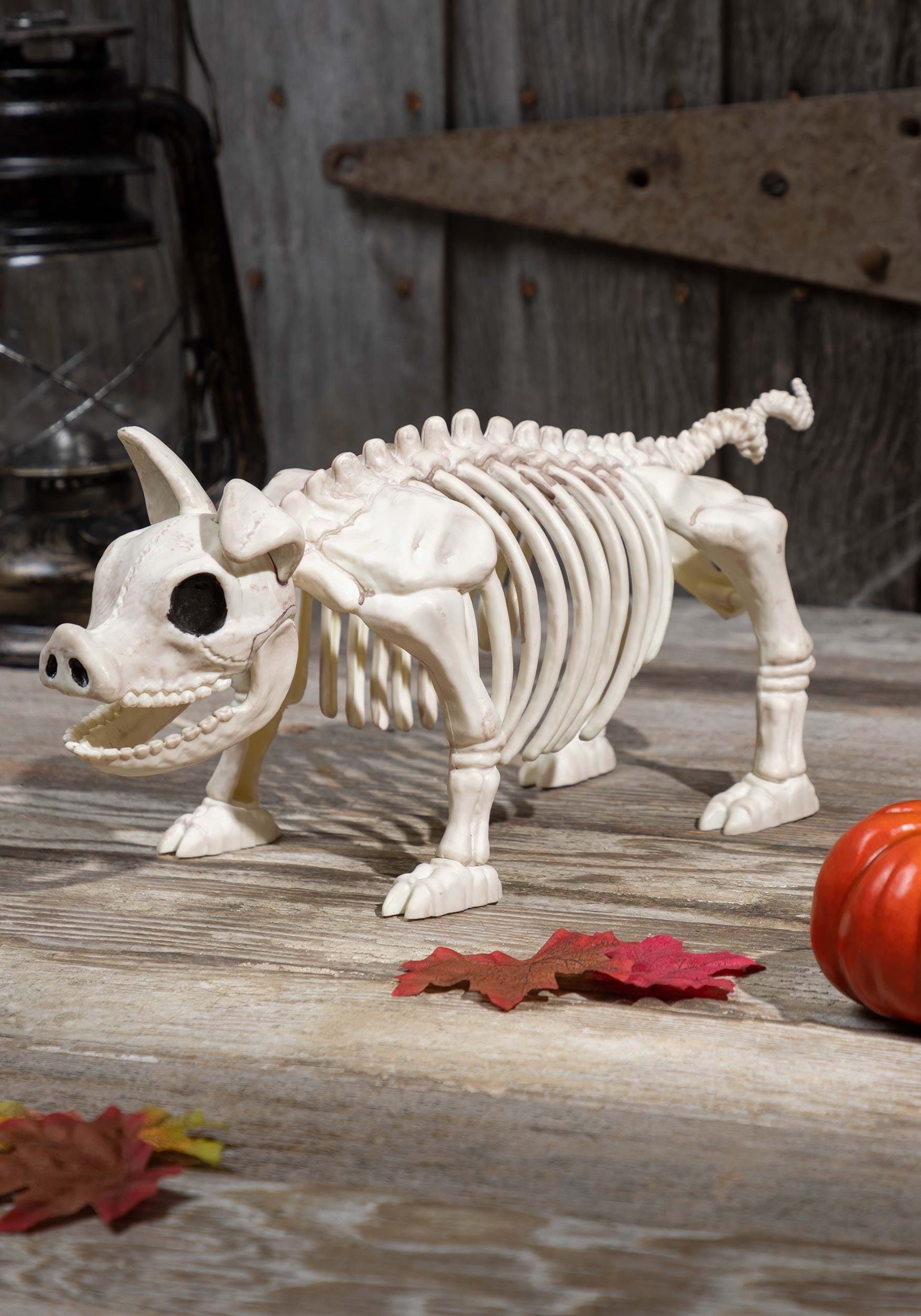 14.75-Inch Pig Skeleton