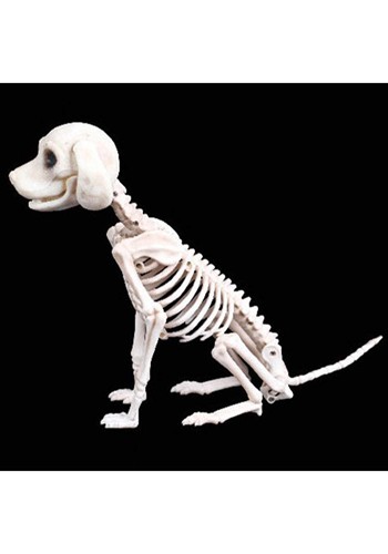 7.5-Inch Sitting Skeleton Puppy Decoration | Animal Skeletons