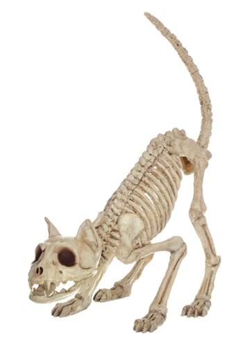 7.5-Inch Skeleton Lil' Kitty Decoration | Animal Skeletons