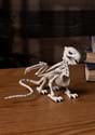 5.5" Griffin Skeleton