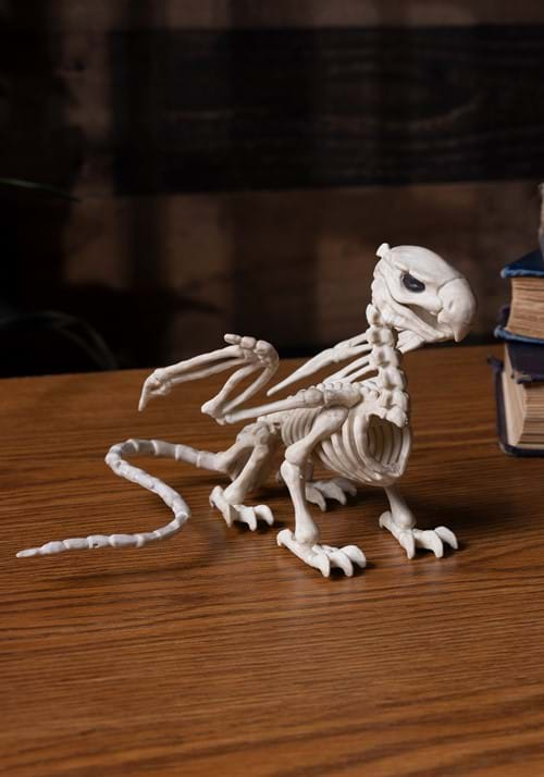 5.5-Inch Griffin Skeleton Halloween Prop | Animal Skeletons