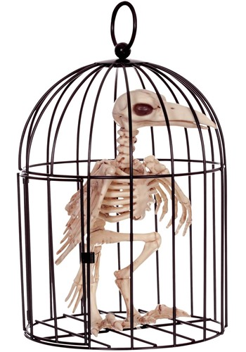 9.5-Inch Skeleton Raven in Cage Halloween Decoration | Animal Skeletons