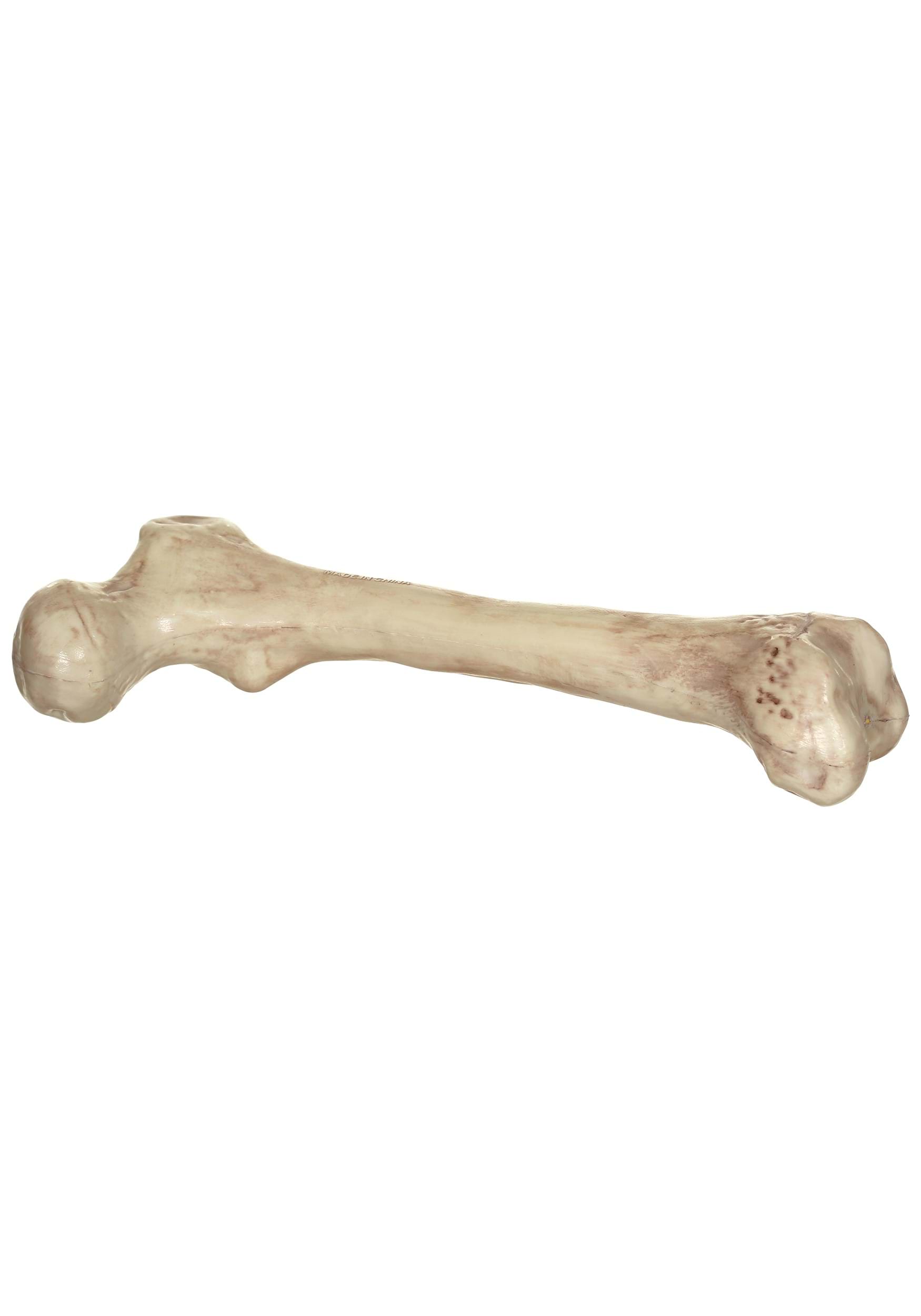 9-Inch Big Bone Decoration