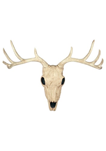 21-Inch Buck Horned Skull Decoration | Animal Skeletons