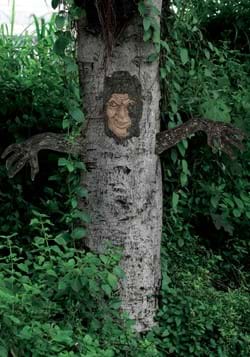 Tree Face and Arm Accessory Kit