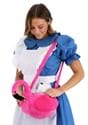 Alice in Wonderland Costume Companion Alt 4