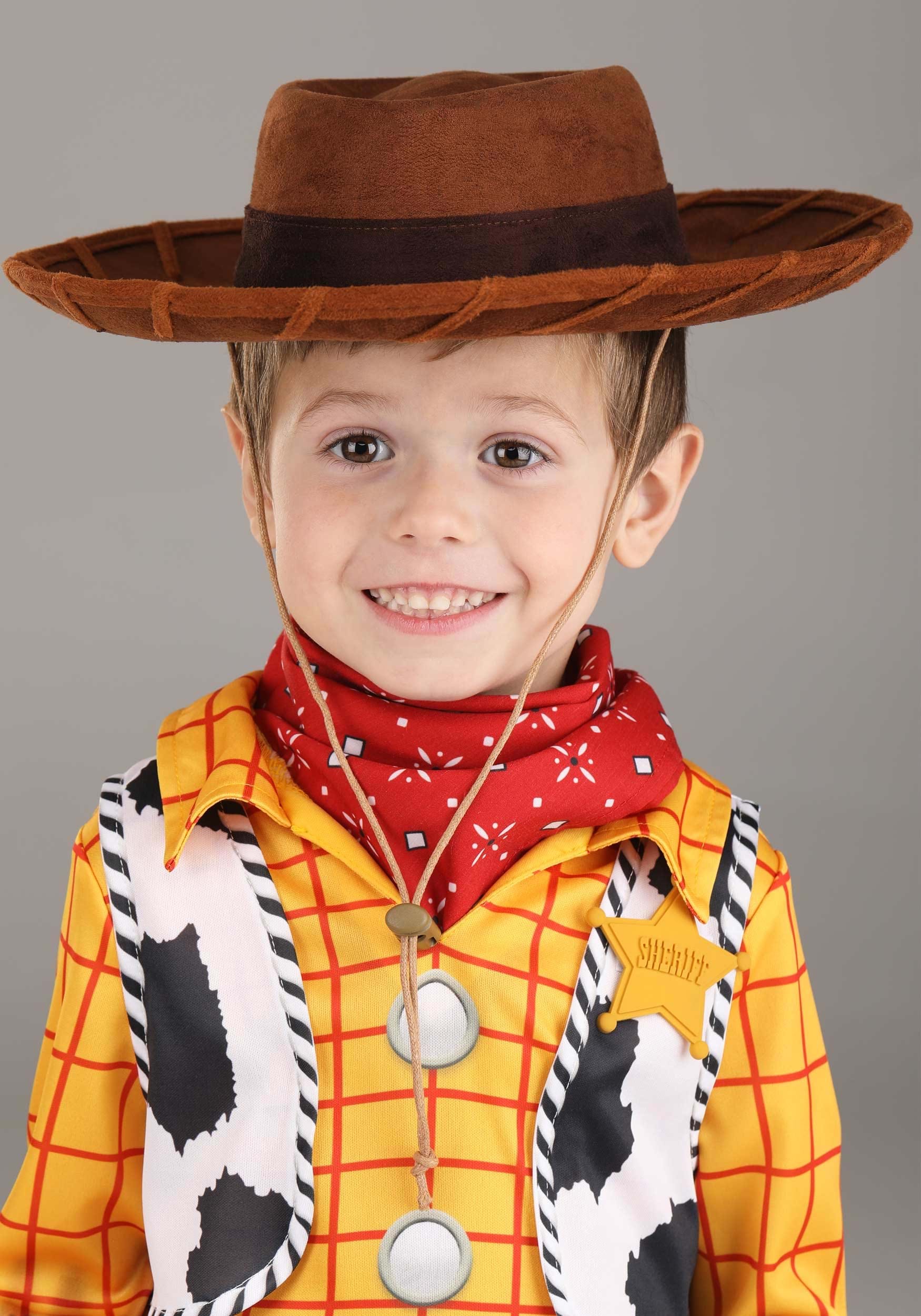 Boy's Disney Deluxe Woody Toy Story Toddler Costume