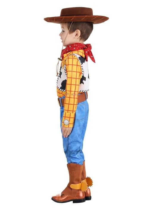 Boy's Disney Deluxe Woody Toy Story Toddler Costume