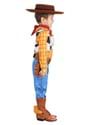Toddler Deluxe Woody Toy Story Costume Alt 7