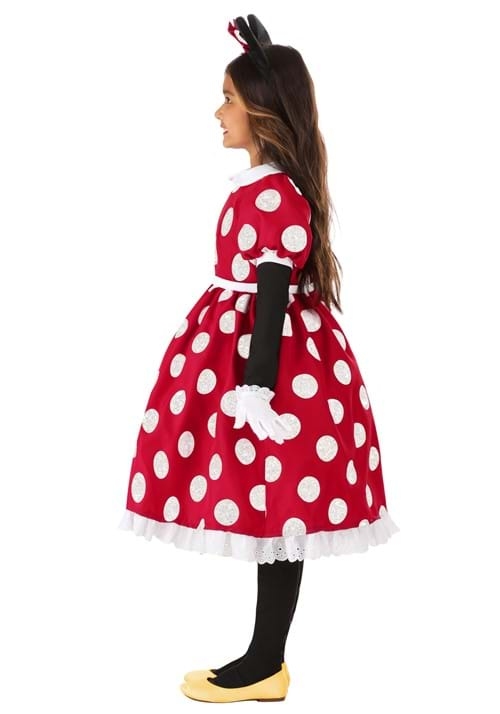 Deluxe Disney Minnie Mouse Girl's Costume