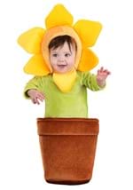 Infant Flower Pot Bunting Costume
