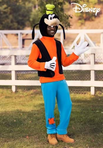 Adult Deluxe Goofy Costume