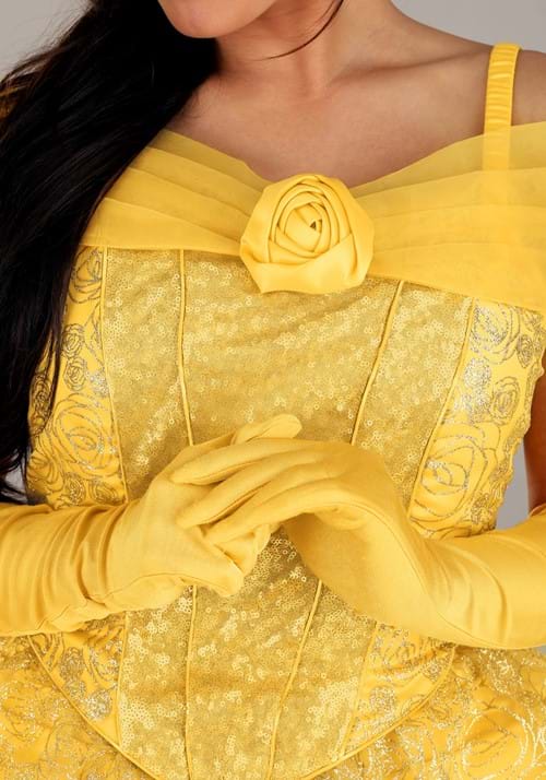 Plus Size Christmas Belle Costume main image 1