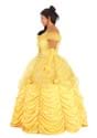 Plus Size Premium Belle Costume Alt 2