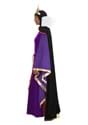 Adult Disney Queen Costume Alt 6