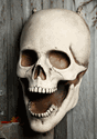 30 Inch Giant Super Skull Prop_Update