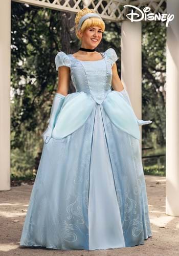 Adult Premium Cinderella Costume
