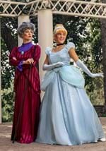 Adult Premium Cinderella Costume Alt 1