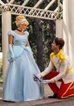 Adult Premium Cinderella Costume Alt 3