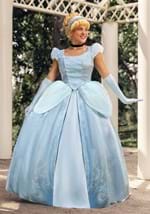 Adult Premium Cinderella Costume Alt 4