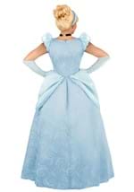 Adult Premium Cinderella Costume Alt 5