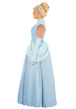 Adult Premium Cinderella Costume Alt 6