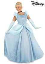 Adult Premium Cinderella Costume Alt 7