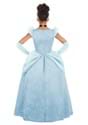 Girls Premium Cinderella Costume Alt 1