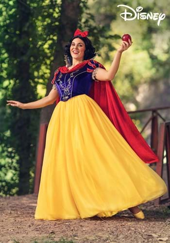 Adult Disney Deluxe Snow White Costume - Mr. Costumes