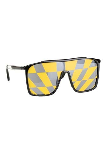 WWE Randy Savage Macho Man Costume Glasses | WWE Accessories