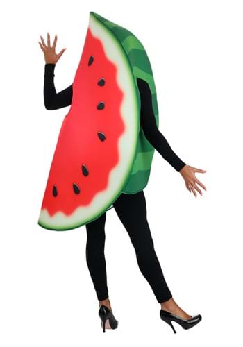 Watermelon Costume Slice for Adults main image 1