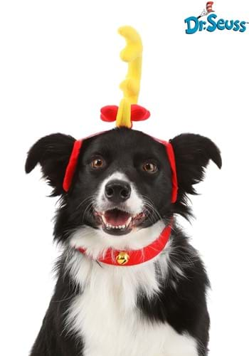 Max headband hot sale for dogs