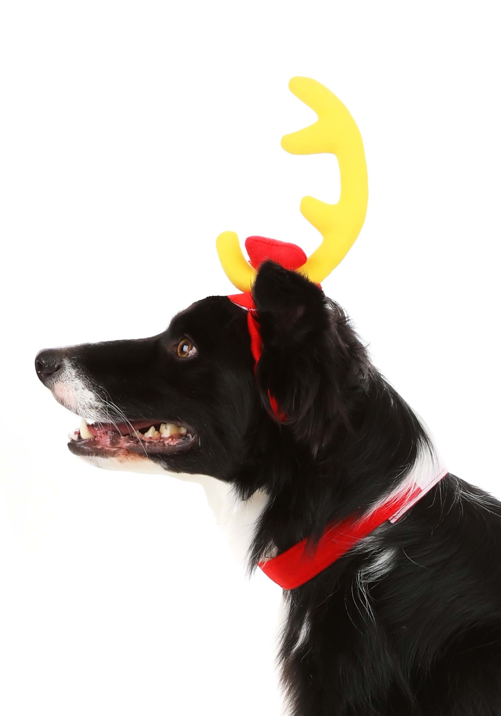 Grinch Max Dog Holiday Costume