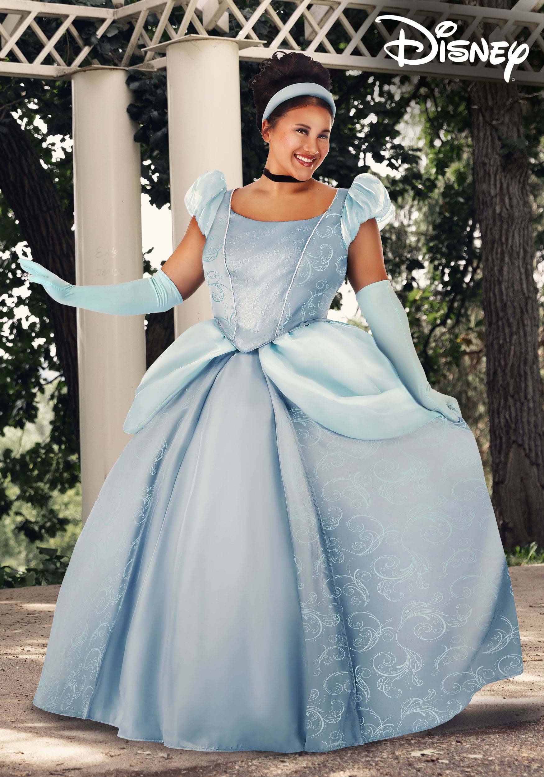 Plus Size Disney Premium Cinderella Costume Dress For Women 