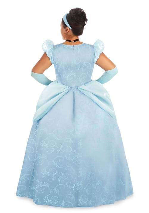 Plus Size Women's Disney Premium Cinderella Costume Disney Costumes