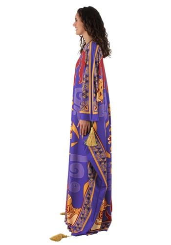 Adult Magic Carpet Costume