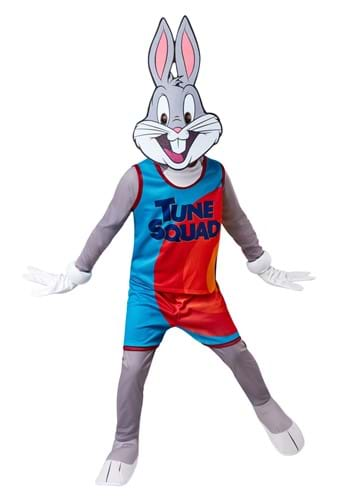 Space Jam Tune Squad Lola Bunny Uniform Halloween Costume Adult Large 12/14