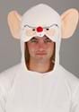 Pinky and the Brain Adult Brain Costume Alt 5