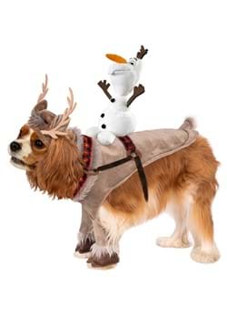 Disney Princess Sven Dog Costume