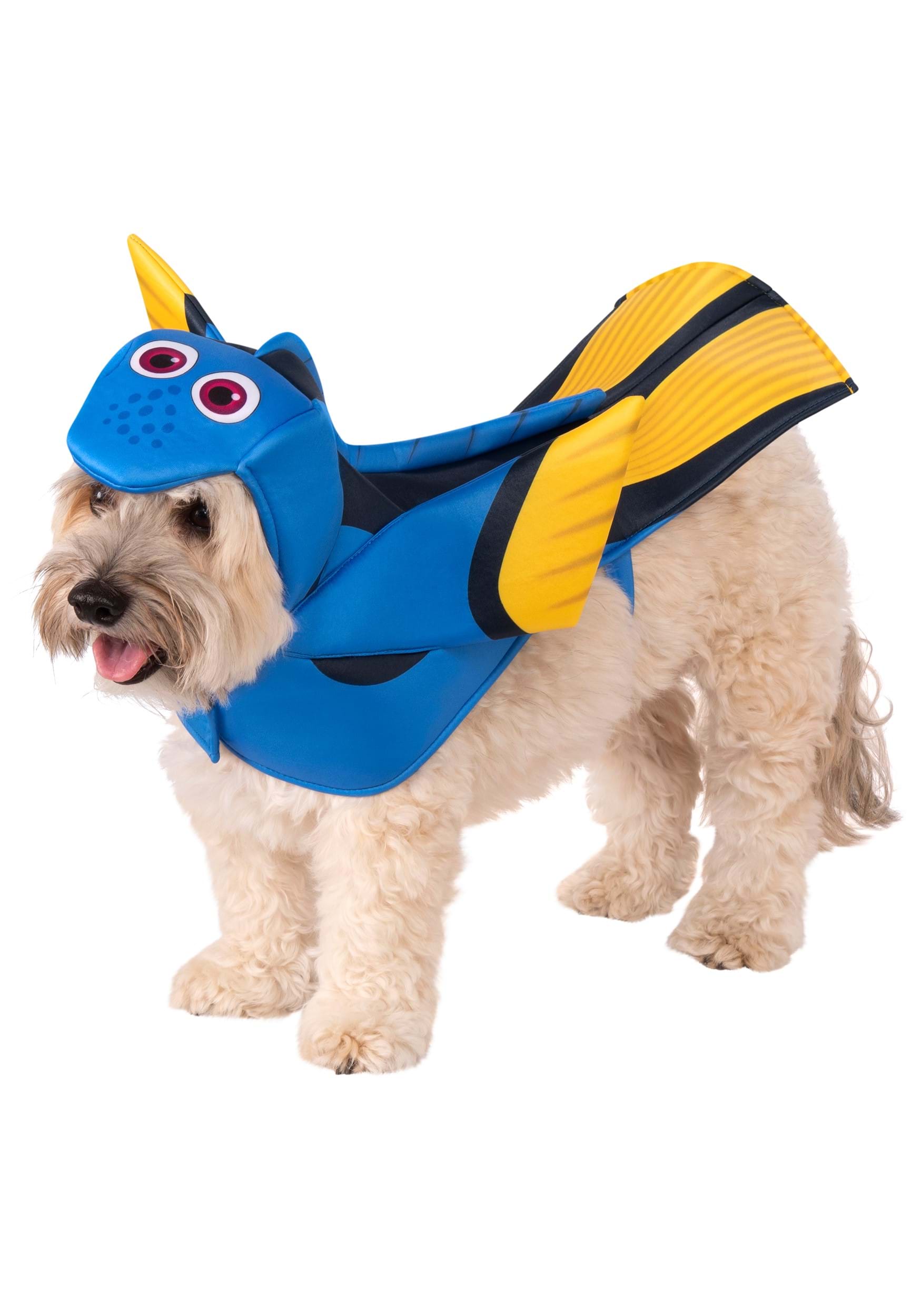 Encontrar el disfraz de Pet Nemo Dory Multicolor