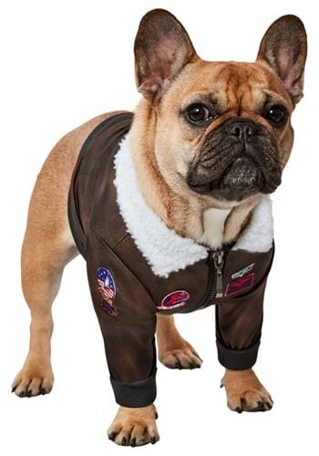 Top Gun Pet Costume