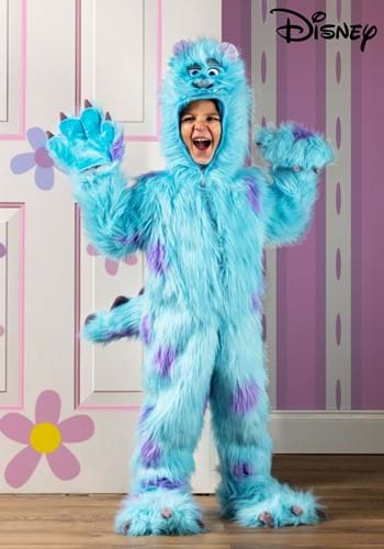 Toddler Hooded Monsters Inc Sulley Costume-1