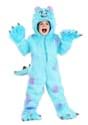 Toddler Hooded Monsters Inc Sulley Costume Alt 4