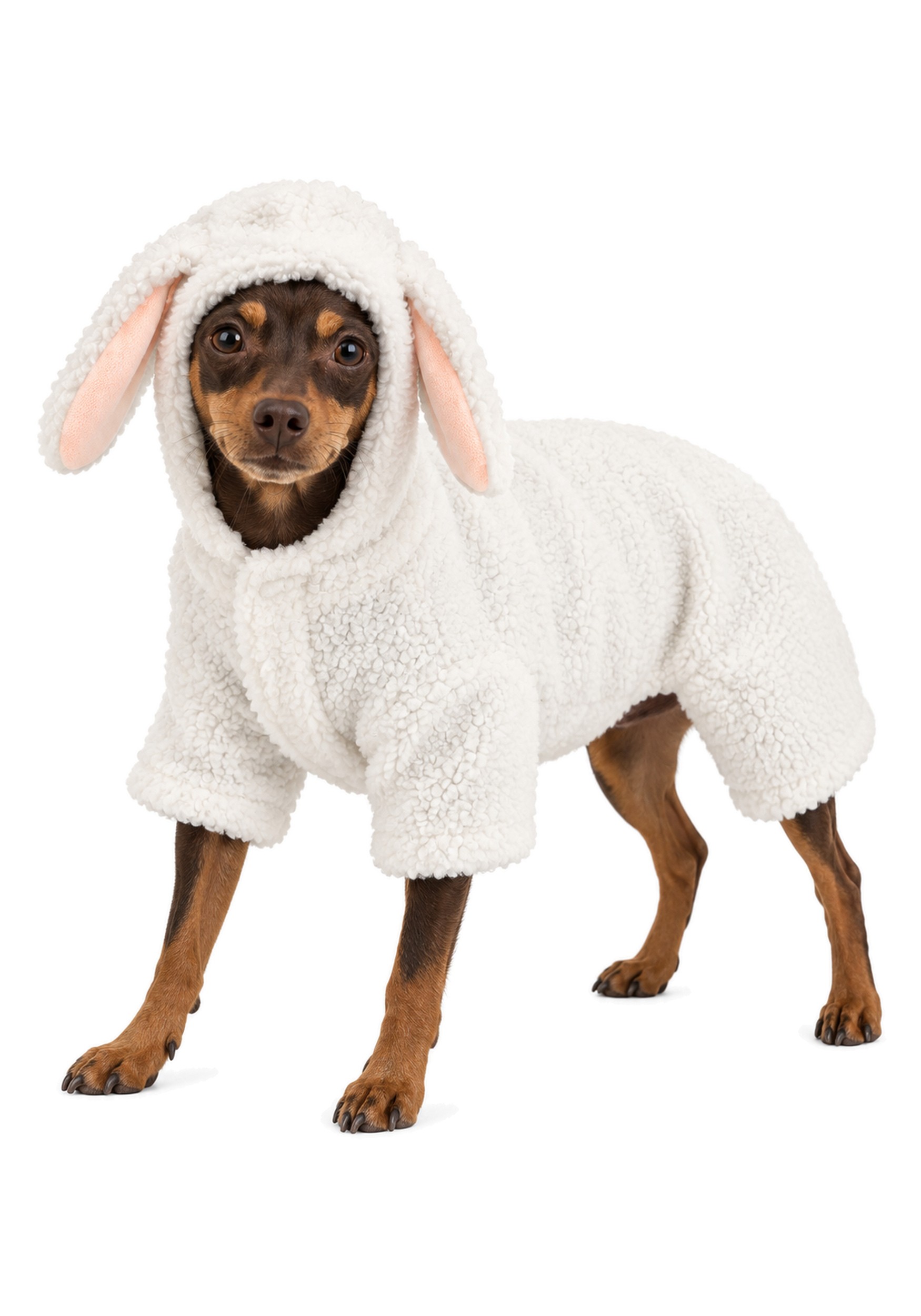 Sheep Costume for Pets | Halloween Pet Costumes
