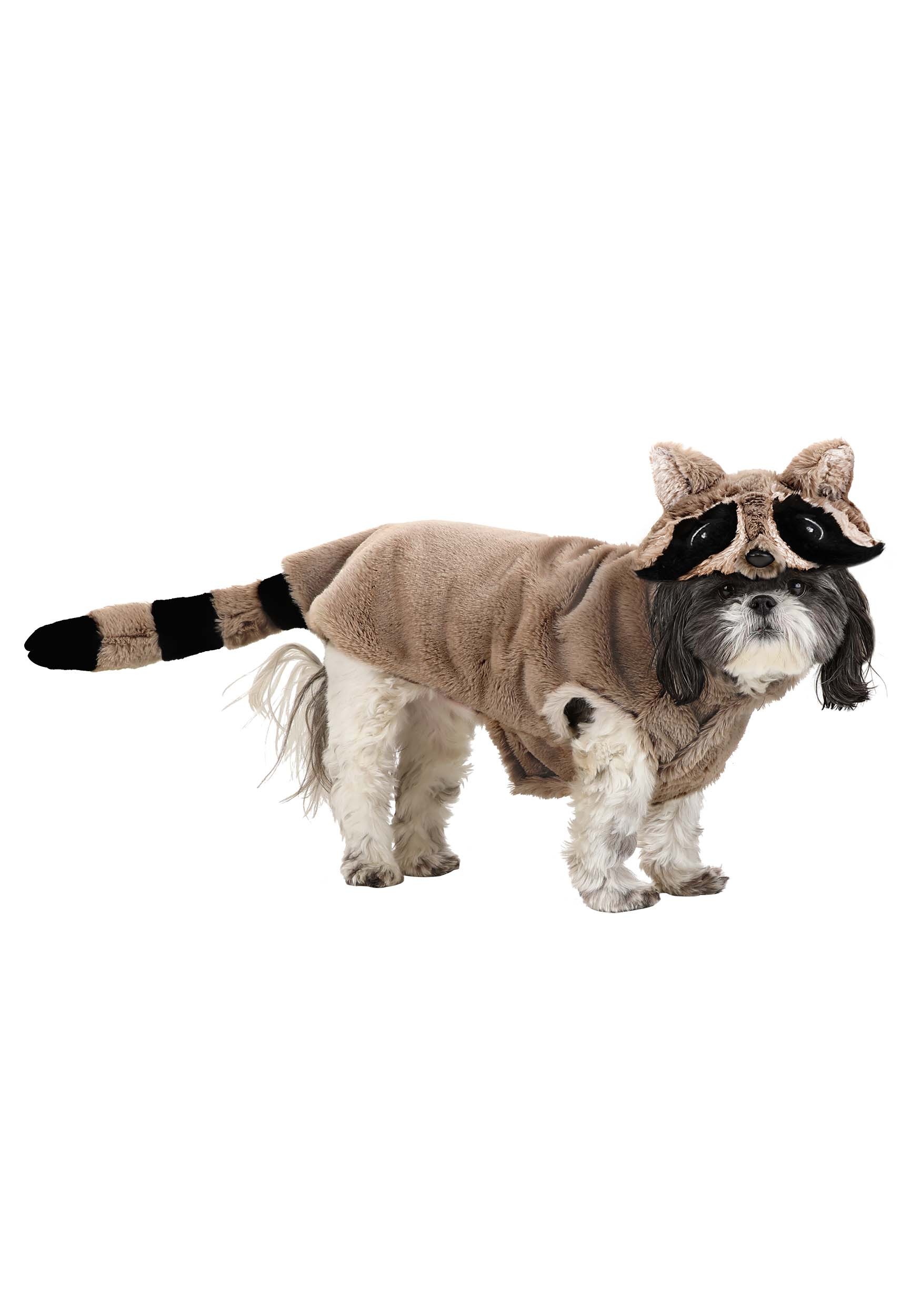 Dog Raccoon Costume